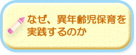 なぜ、異年齢児保育を実践するのか