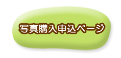 写真購入申込ページ
